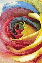 Шерстяной ковер Erdenet из Монголии Hunnu R 6A1857 175 Роза